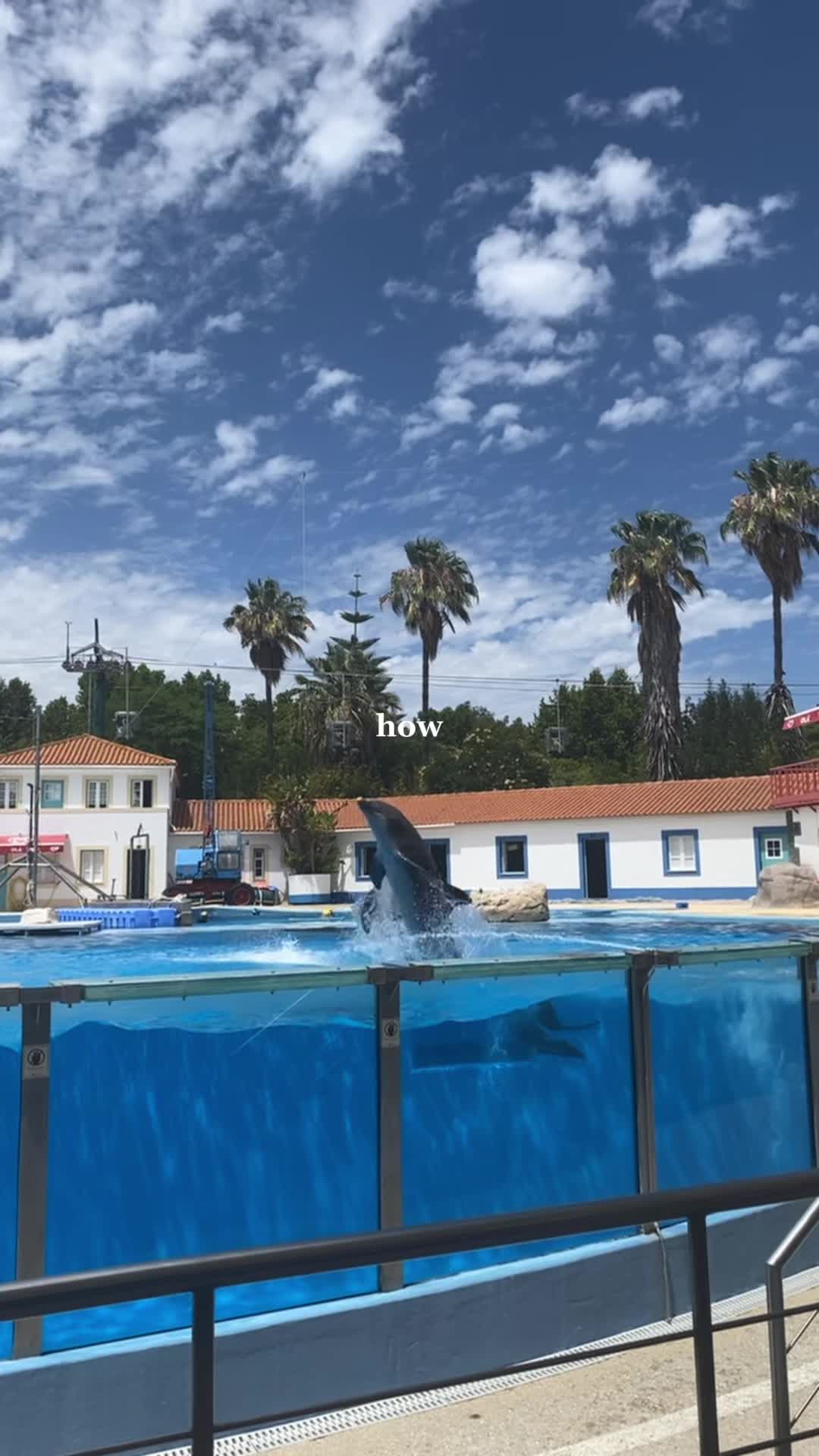 @Maria Caneco