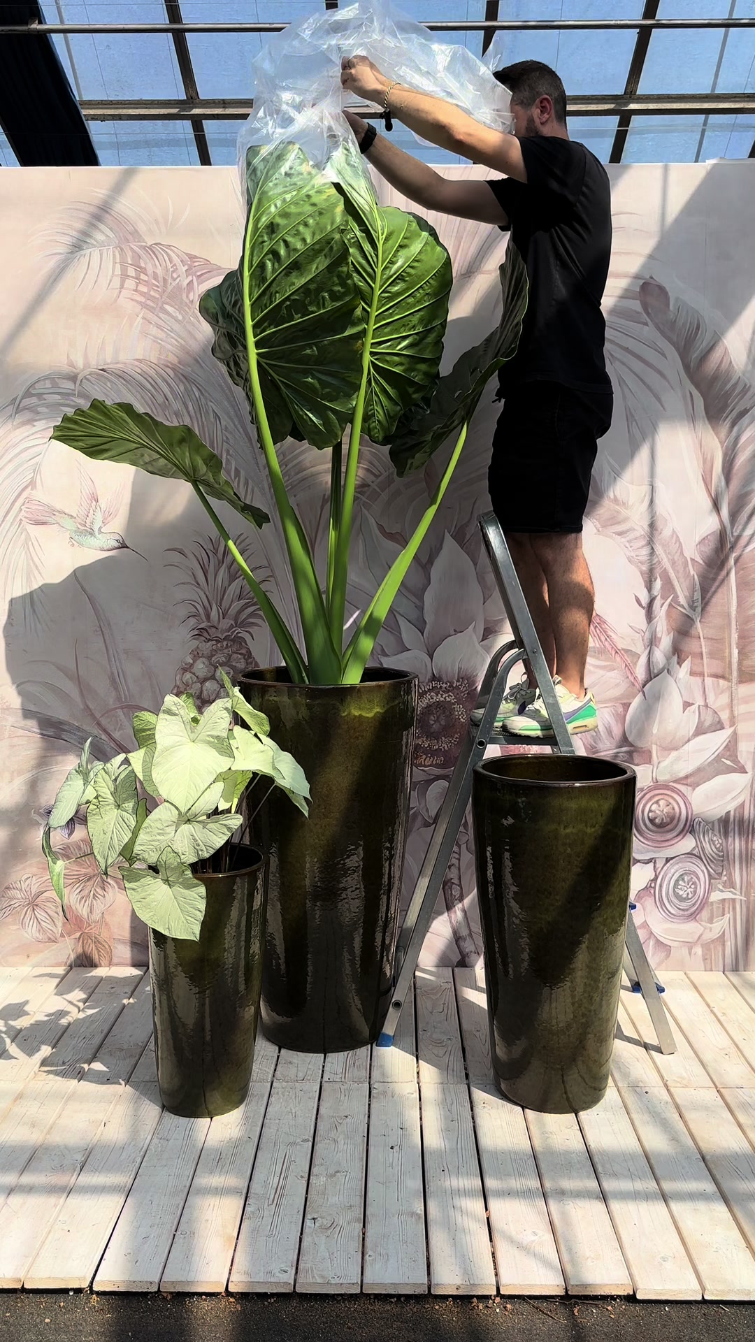 @Garden Center Brioli
