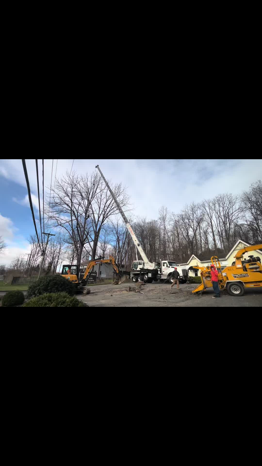 @Chads Tree Service