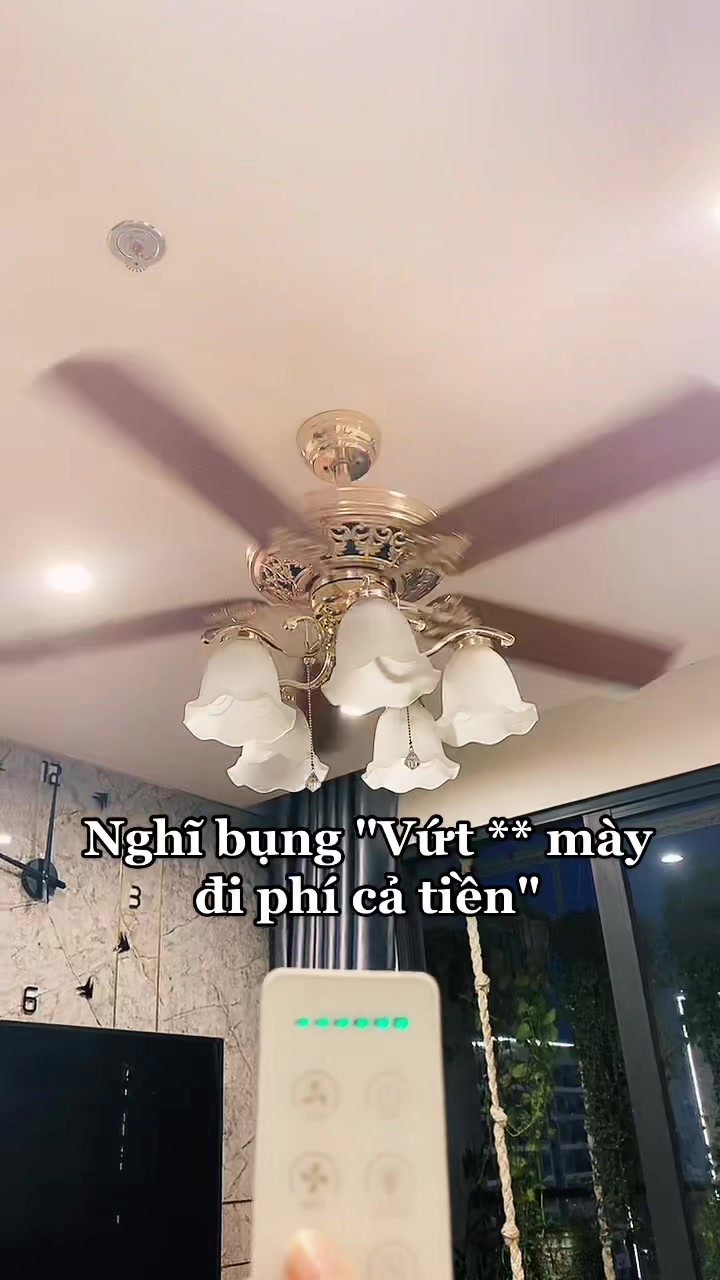@Hoa Quỳnh
