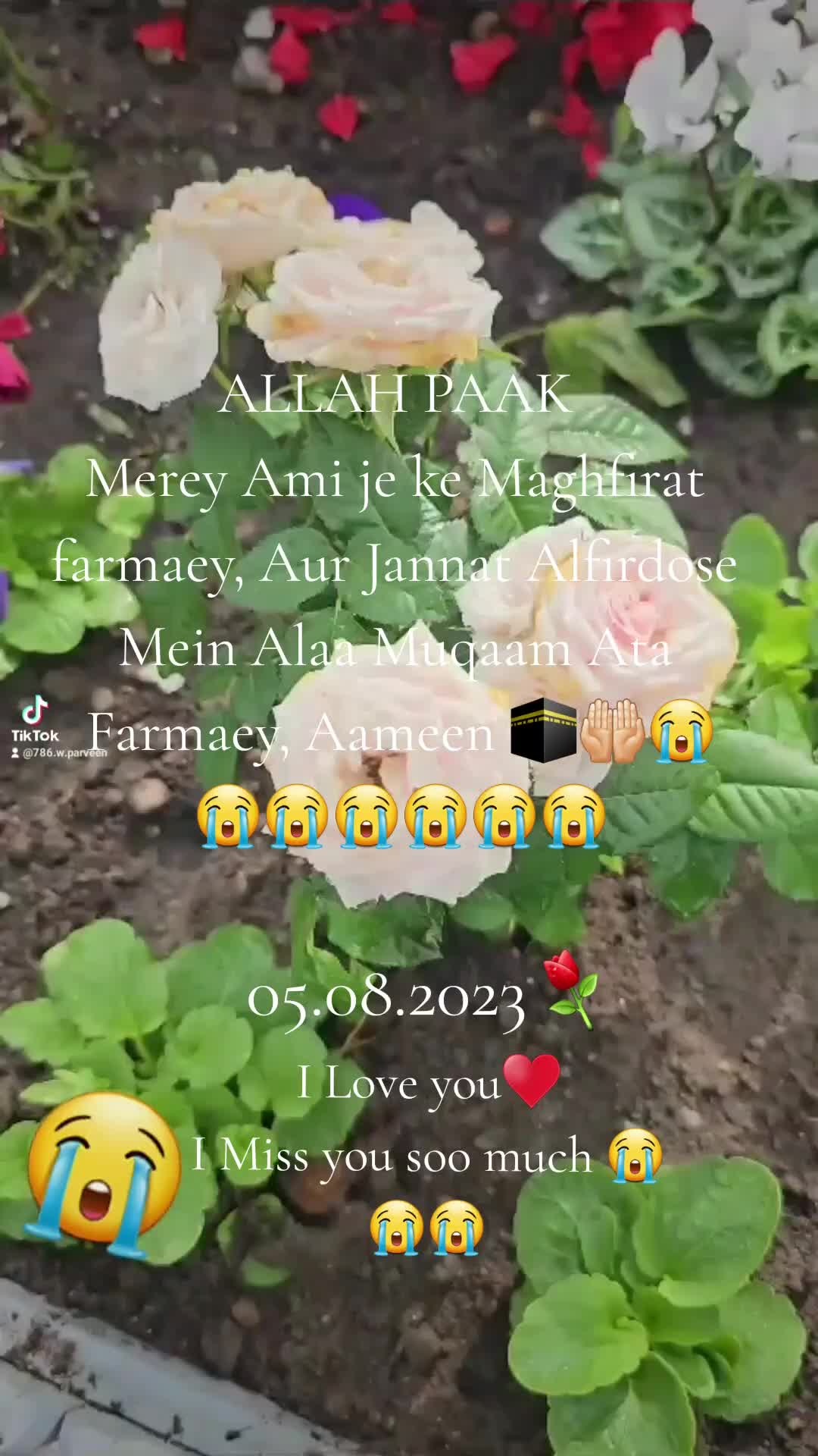 @W.PARVEEN❤