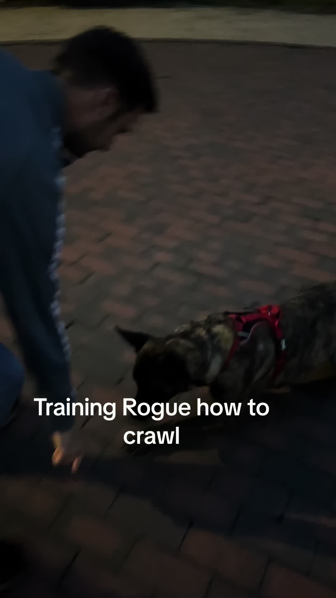 @RogueandMatthew