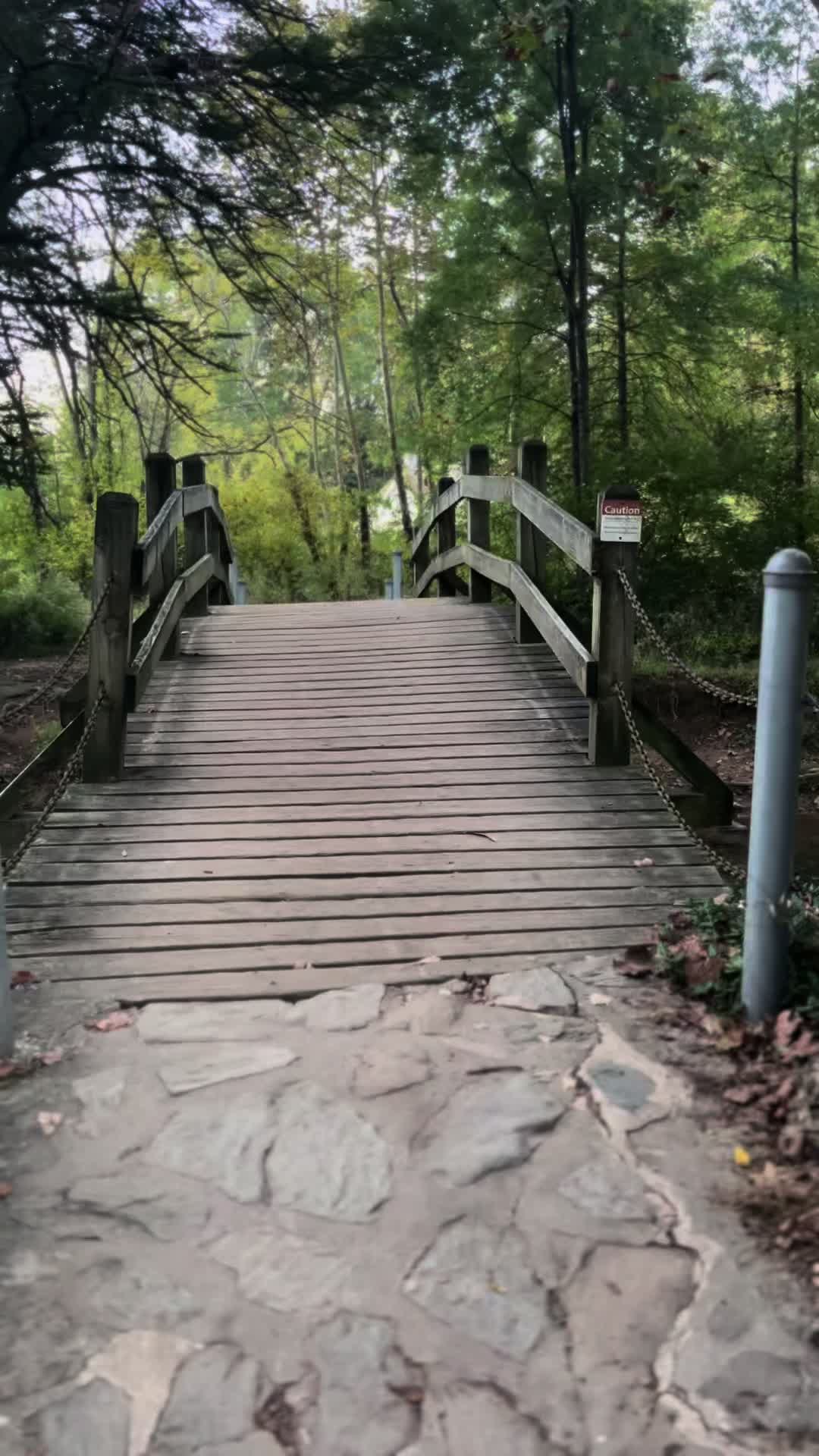 @mtneer