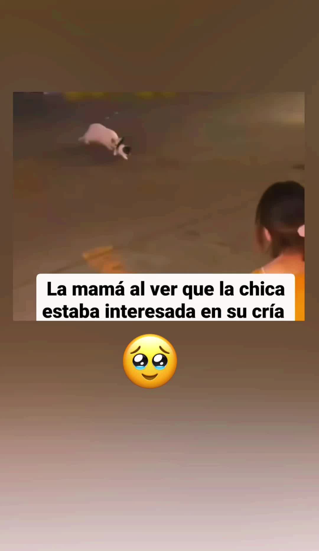 @videoschistosozzzzz