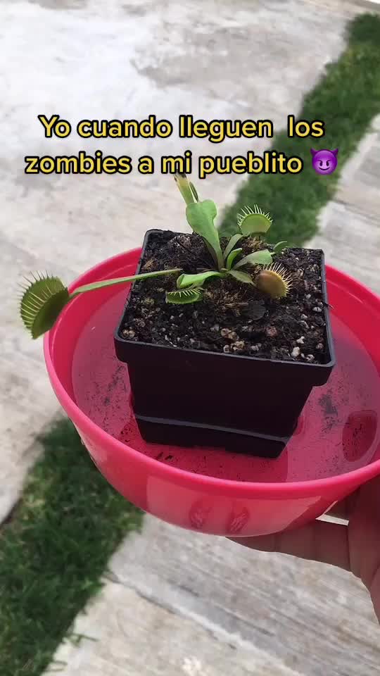 @Ameritación