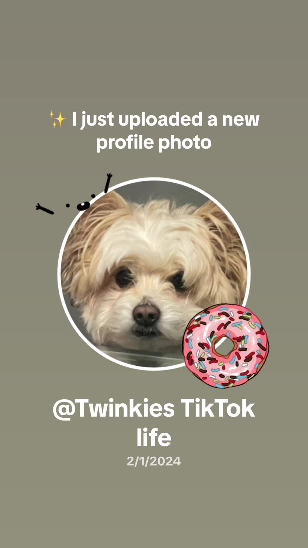 @Twinkies TikTok life