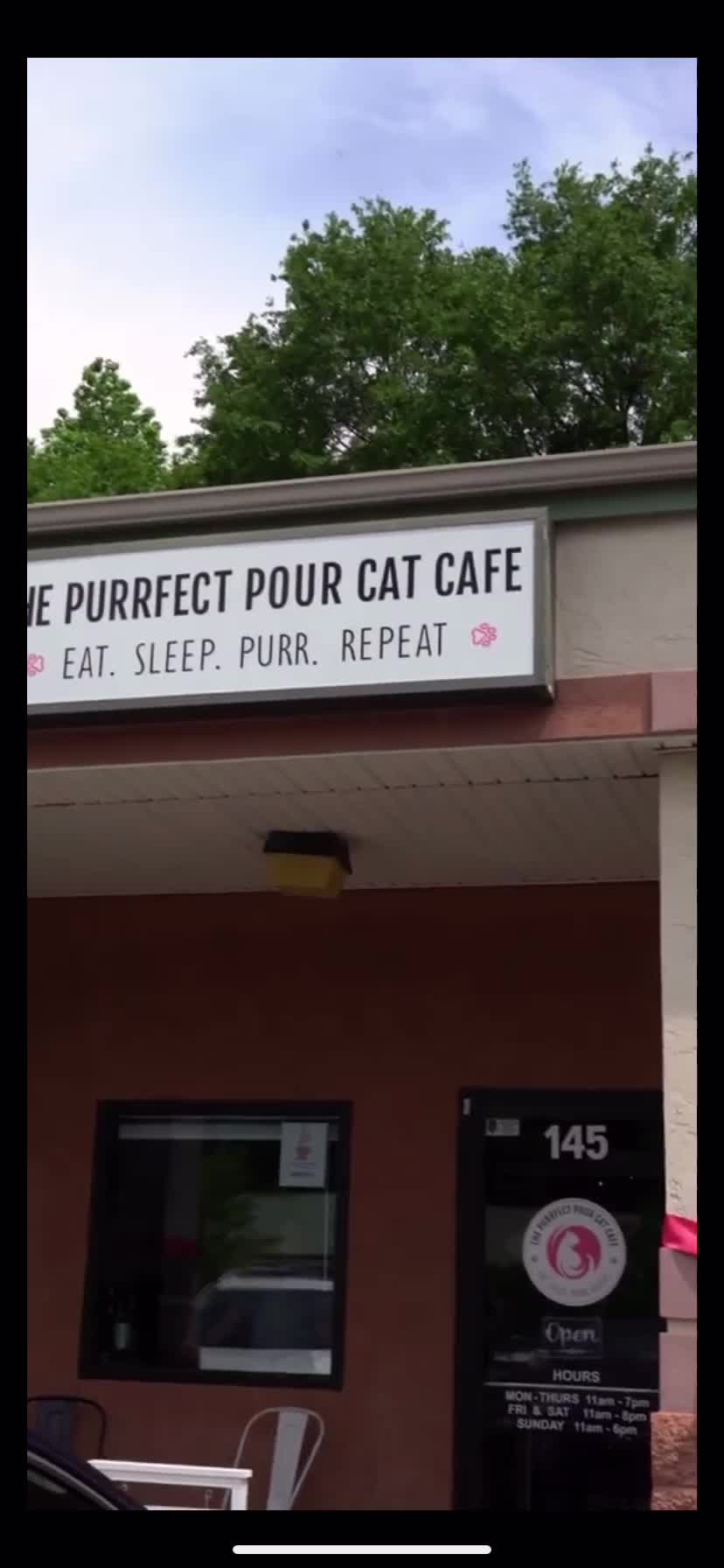 @The Purrfect Pour Cat Cafe