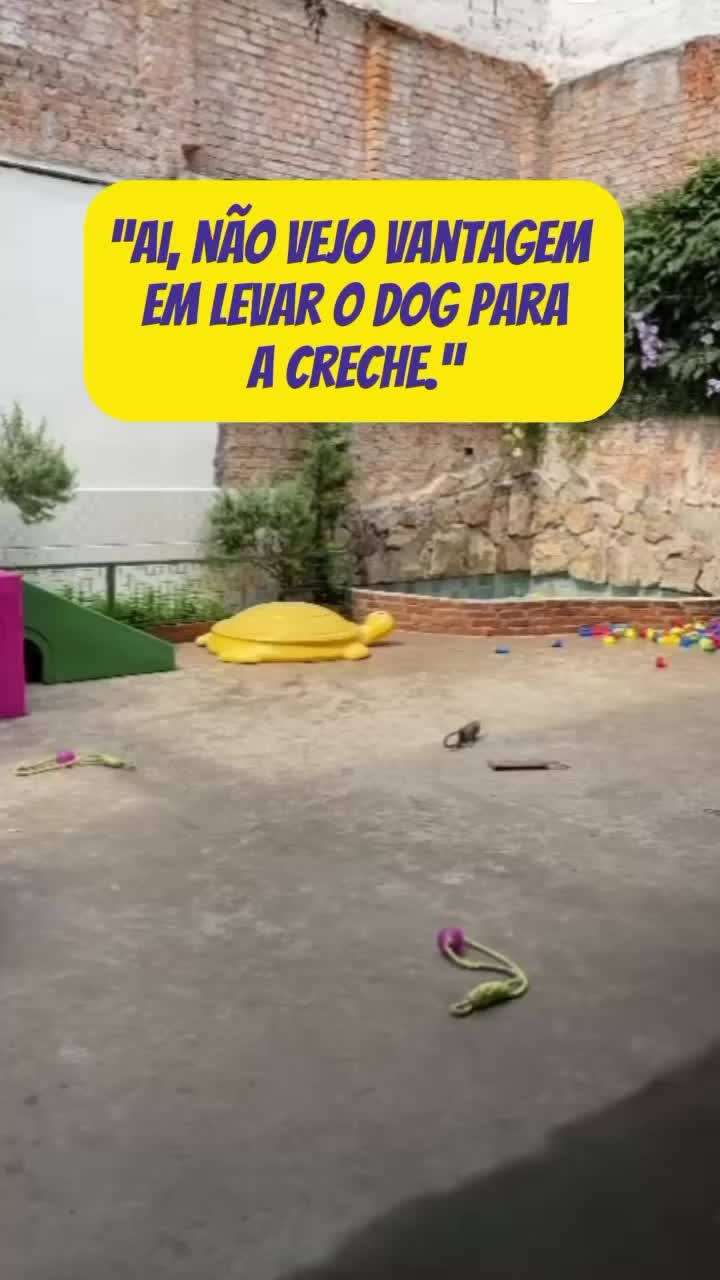 @Vila Dog | Daycare | Hotel Pet