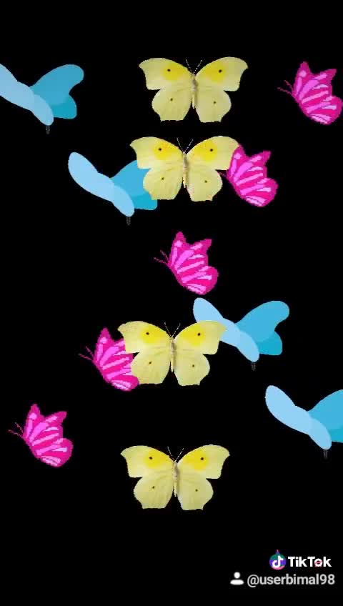 @Bimal12 ka 4