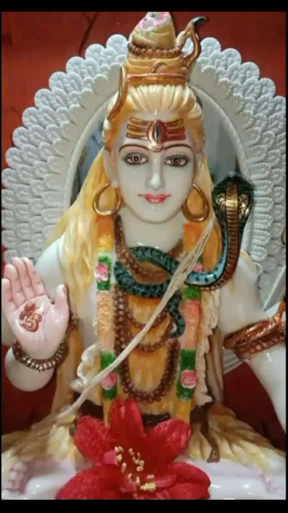 @AshaChaudhary249