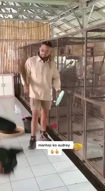 @yudistira#12