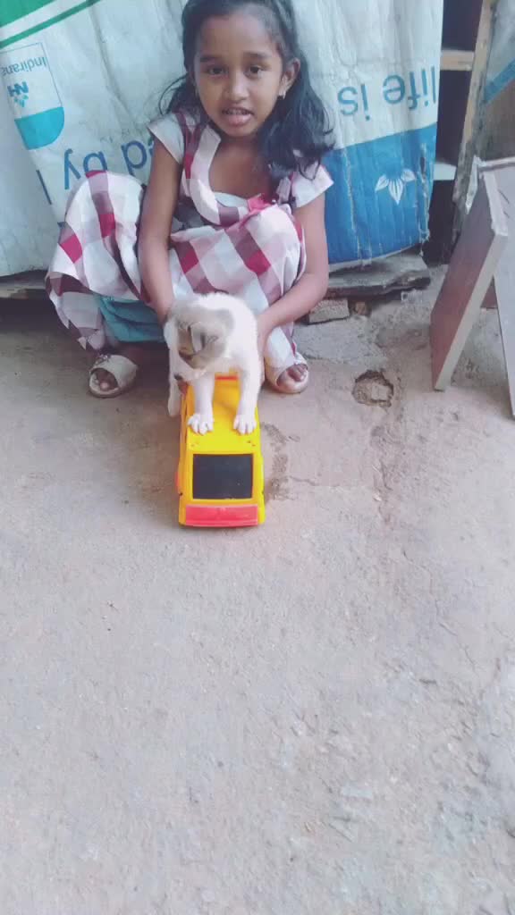 @user9579050600206