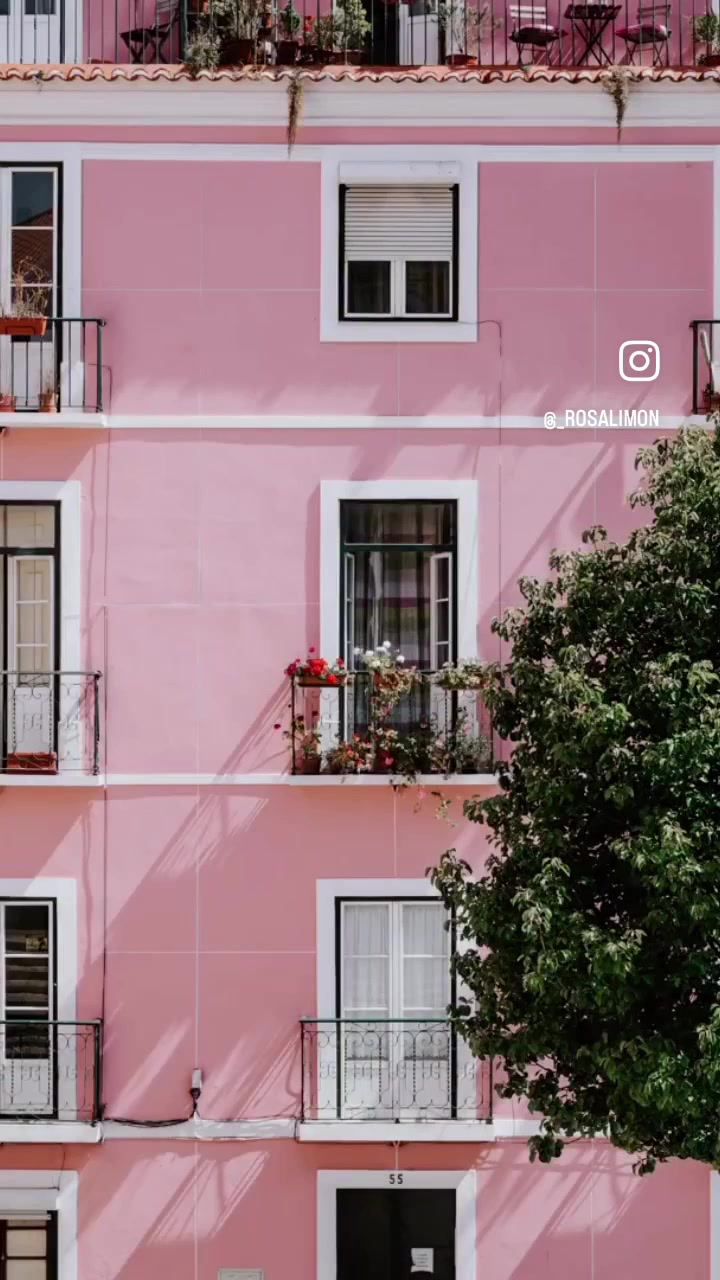 @Rosa&ensp;Lim&oacute;n