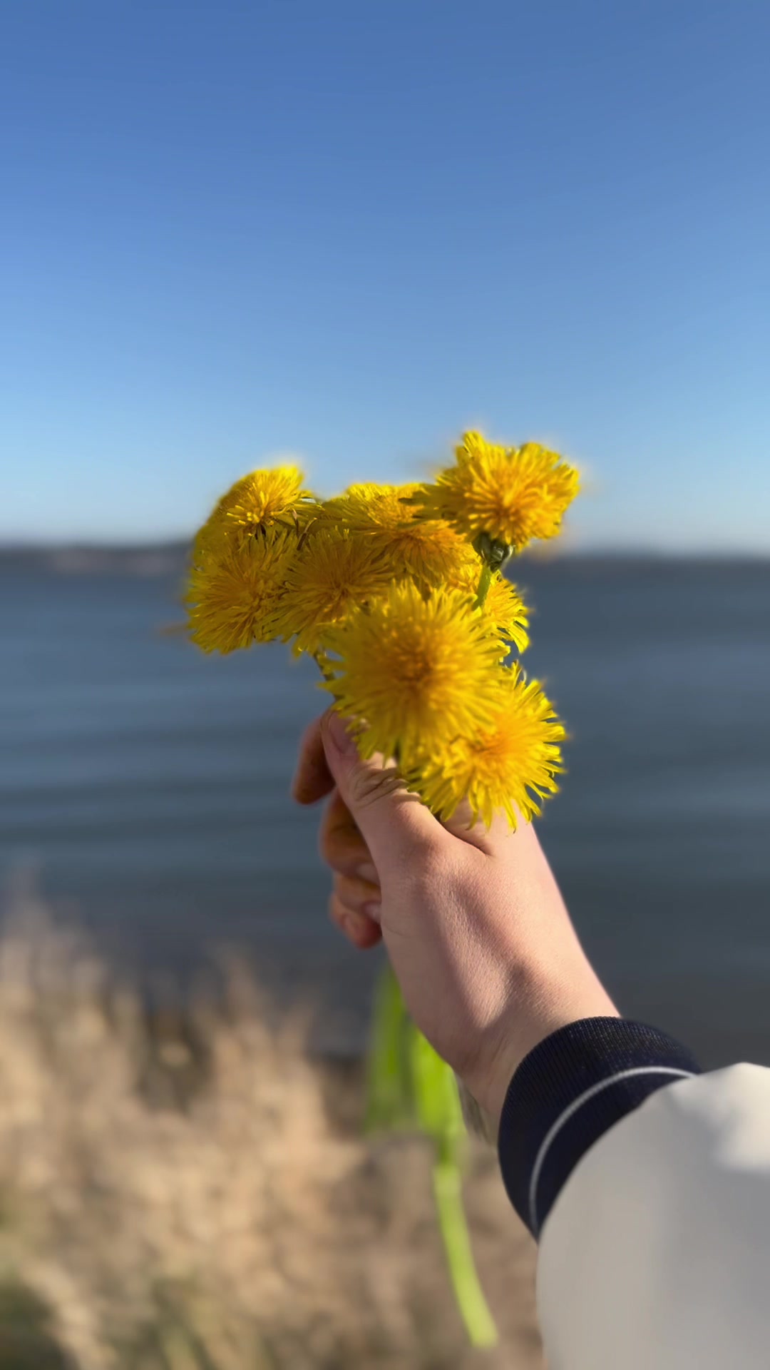 @☀️Сей Хей☀️
