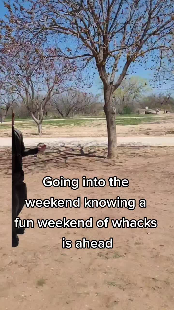 @Skywatch GP