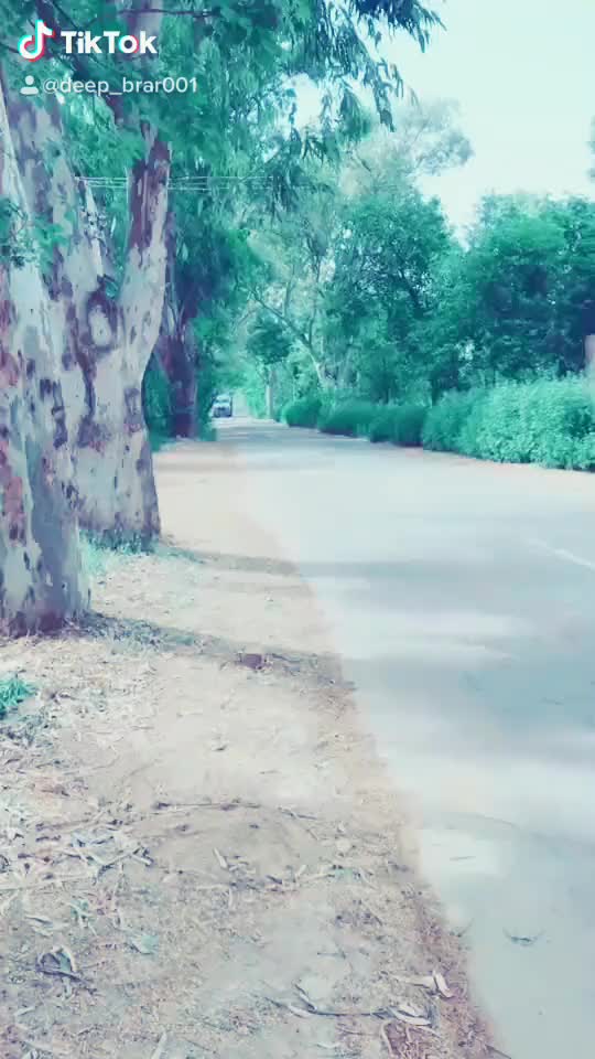 @deep_brar001