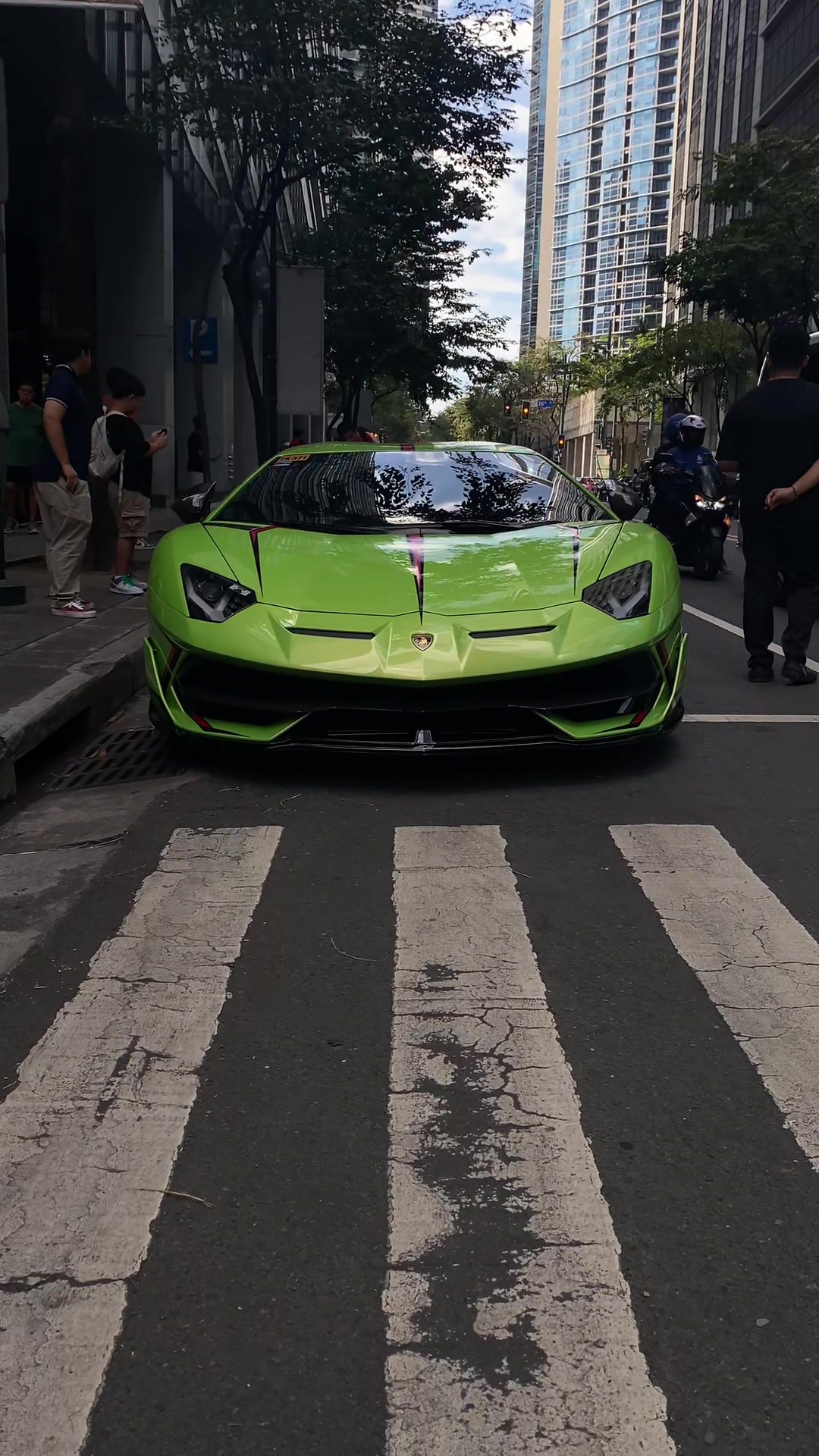 @Manila Exotics