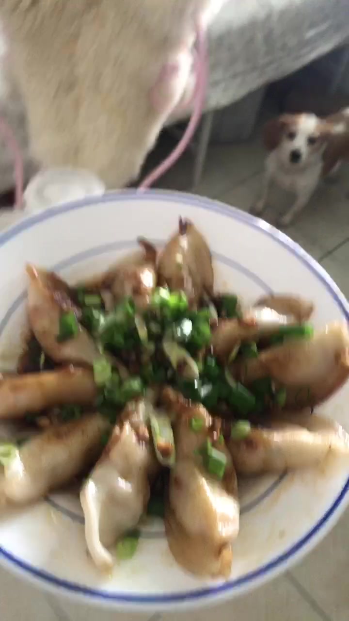 @Pyro Shiba
