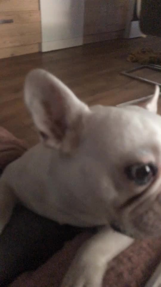 @lívia virág
