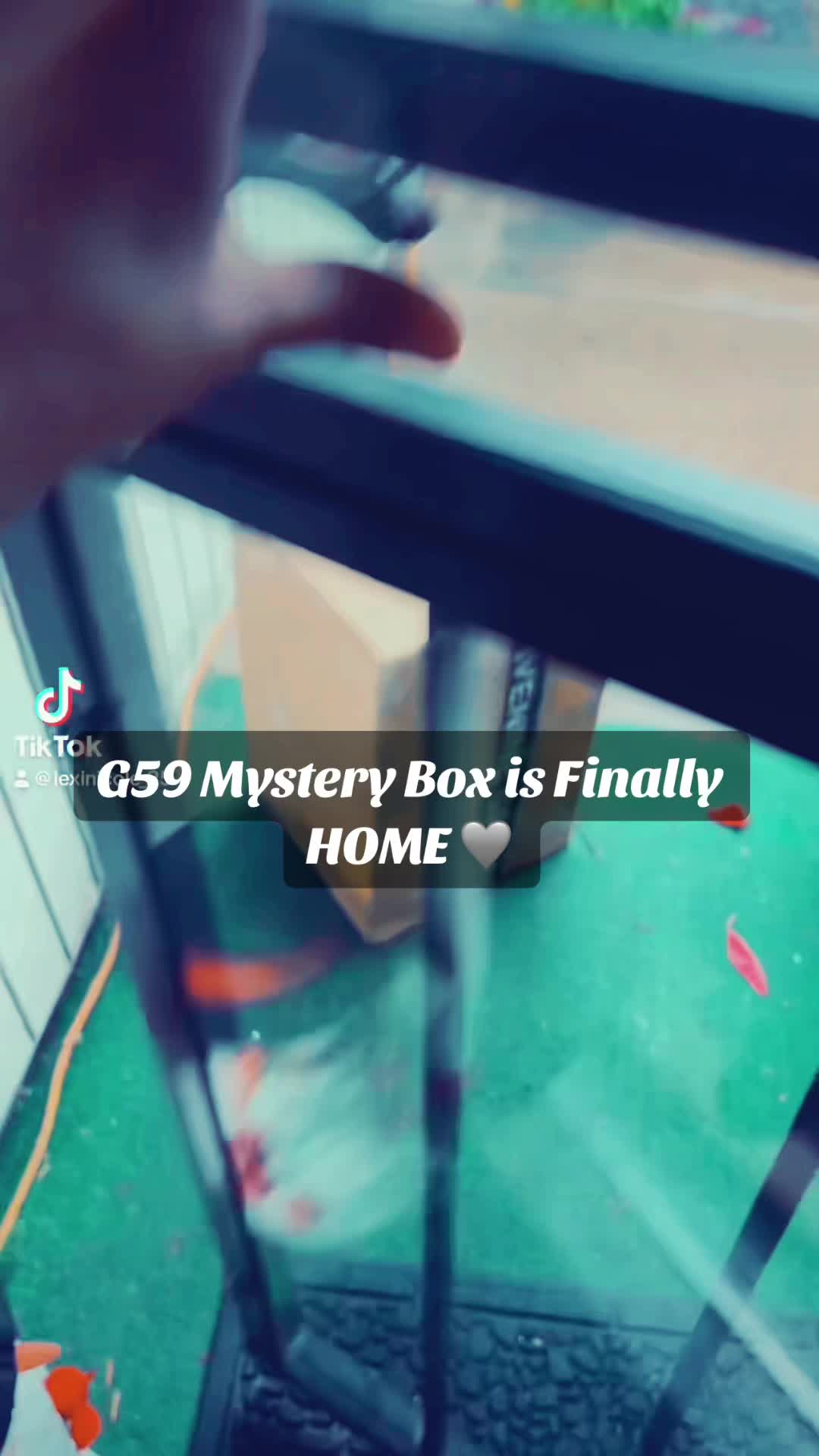 @AlexisTheCanvas
