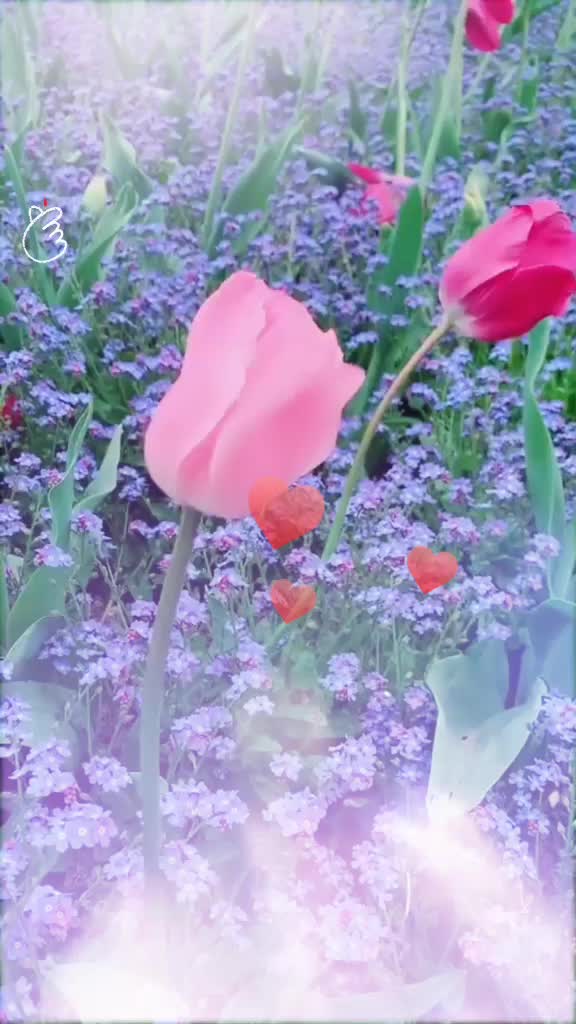 @Thakur Queen😎💯