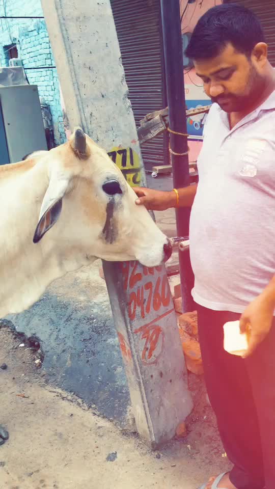 @👑 Deepak Nagar 👑