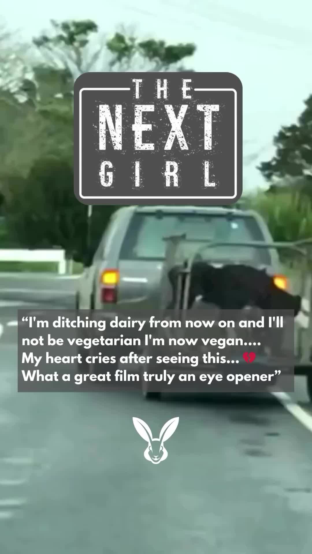 @vkindapp