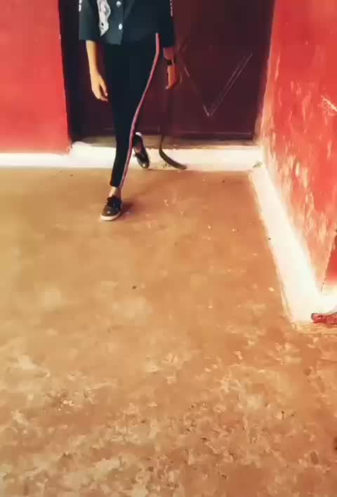 @P.U.