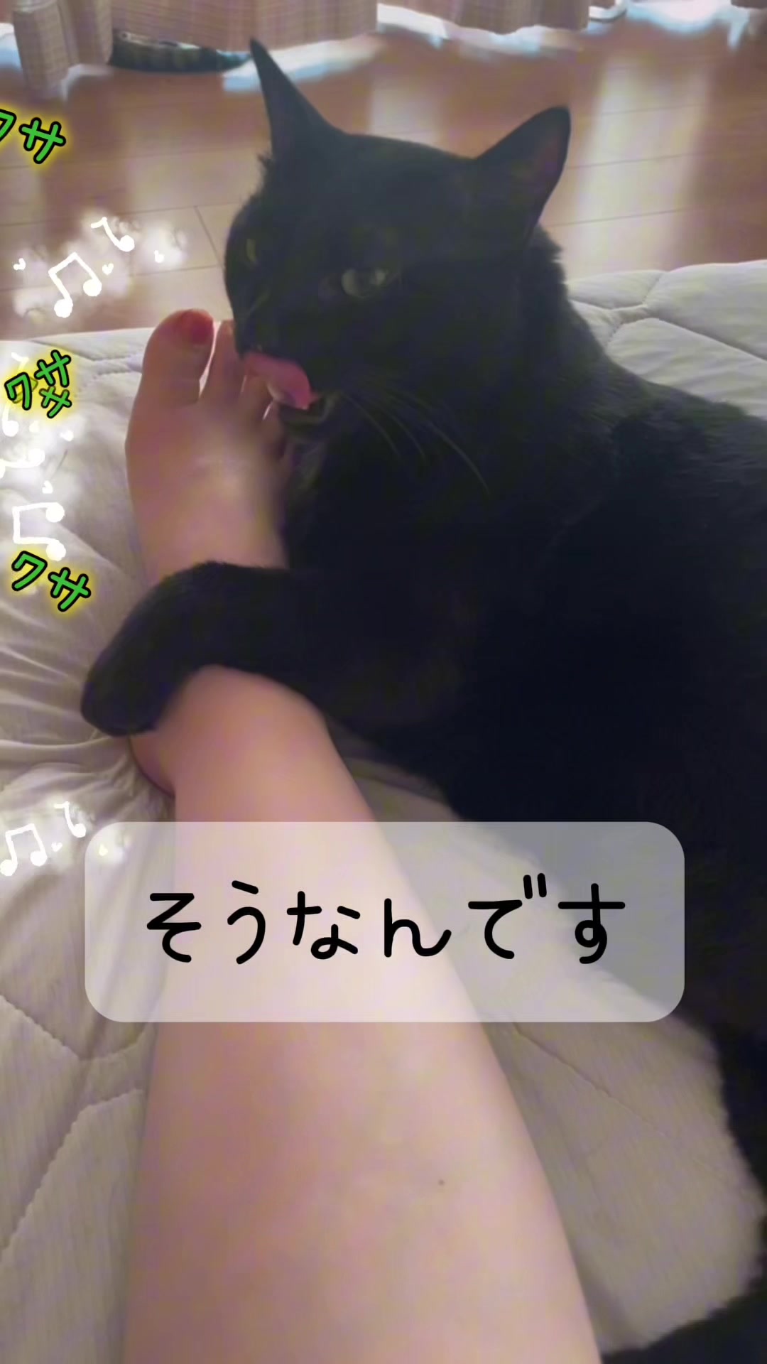 @Chikurokie