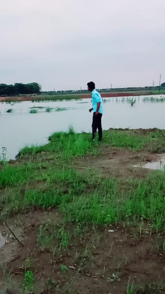 @ଶିବୁ