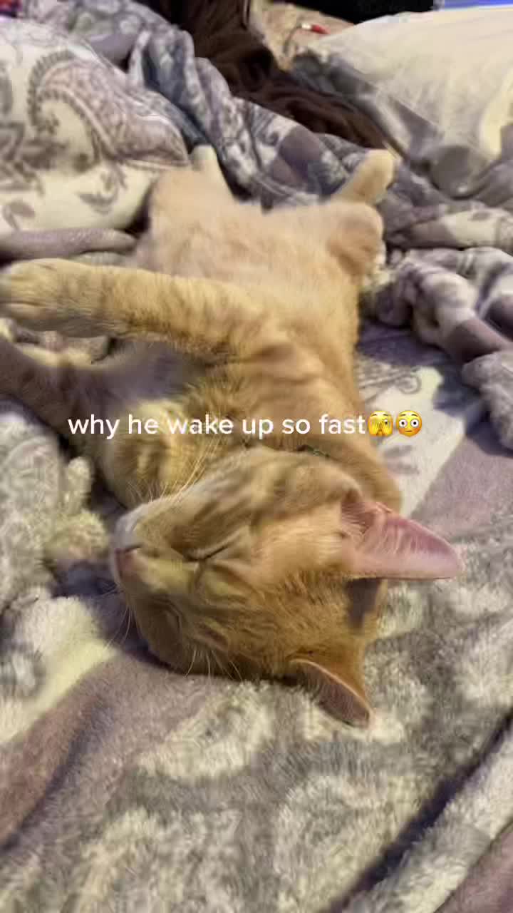 @:3