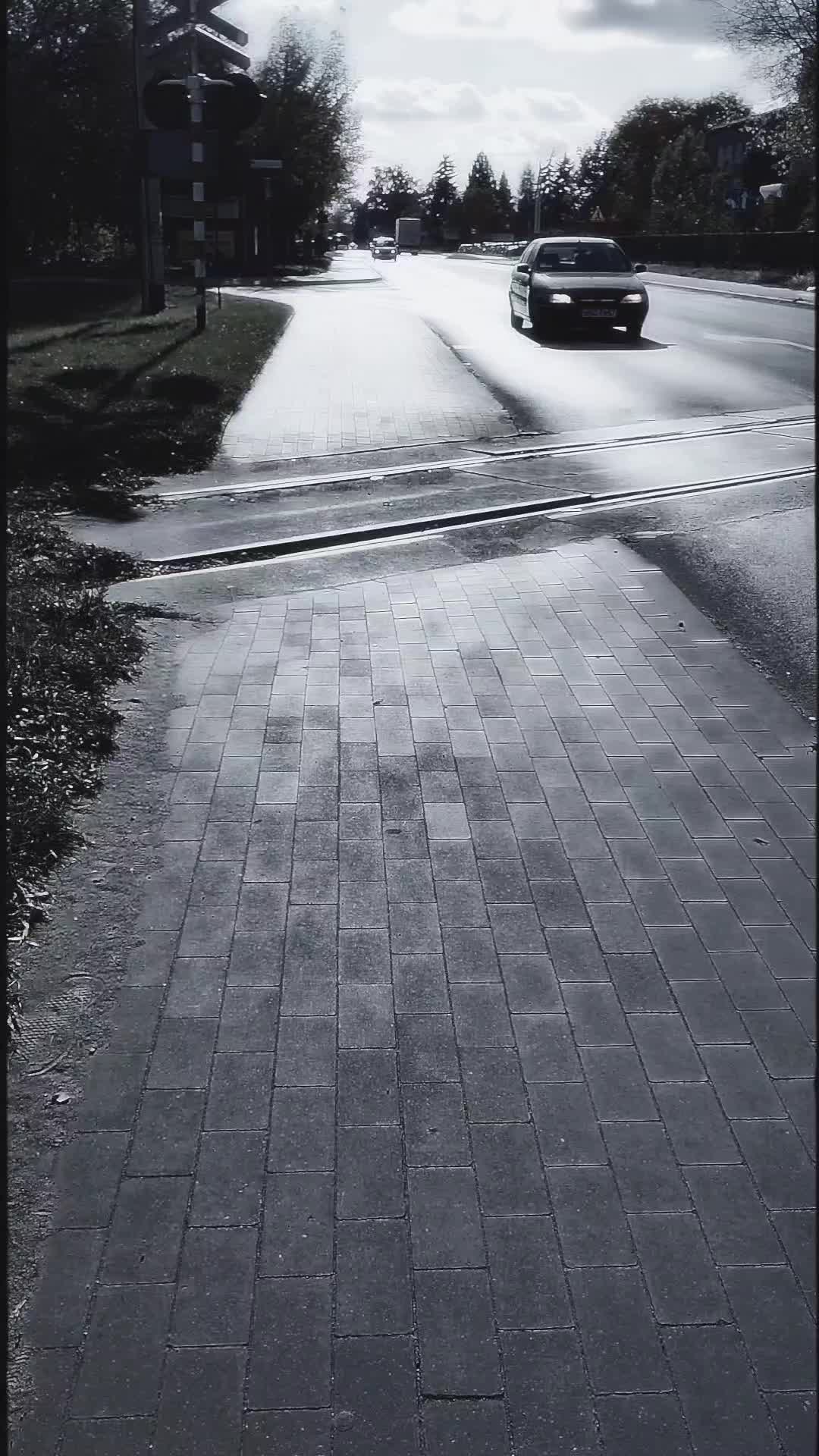 @Kojot