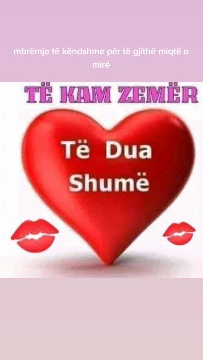 @MONI 65