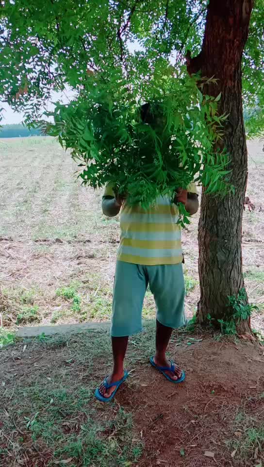 @Thiyagu Perumal