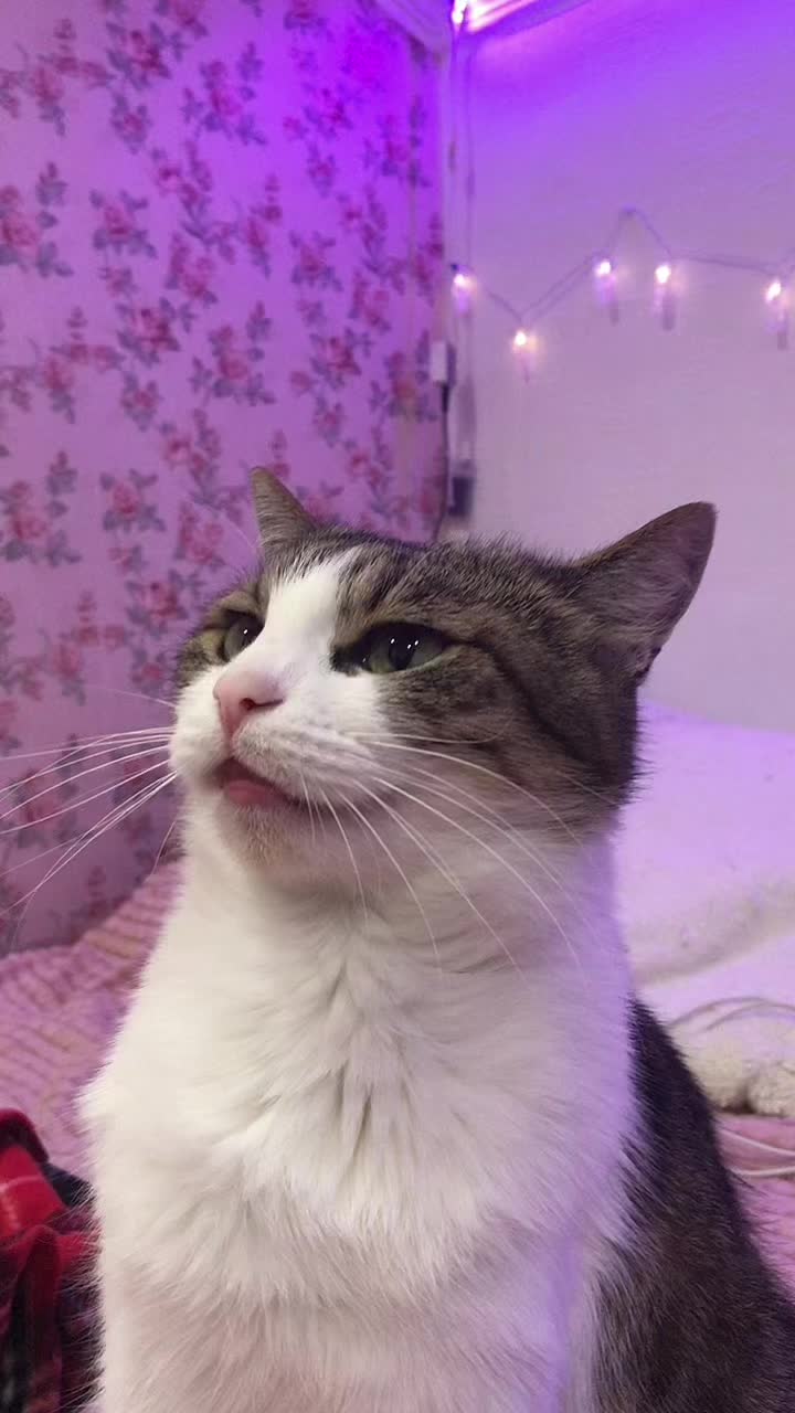 @Артём