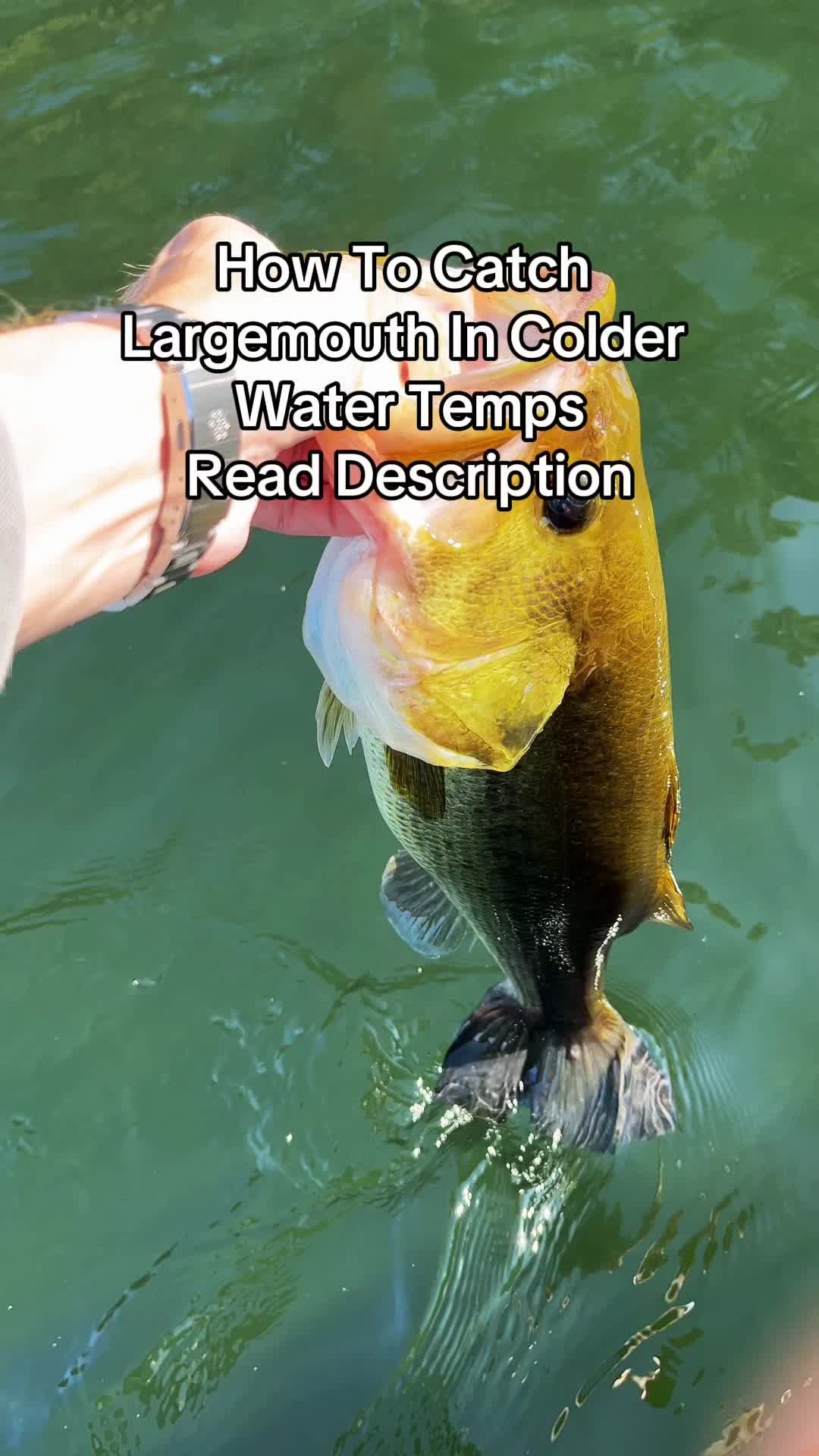 @PBFish.com