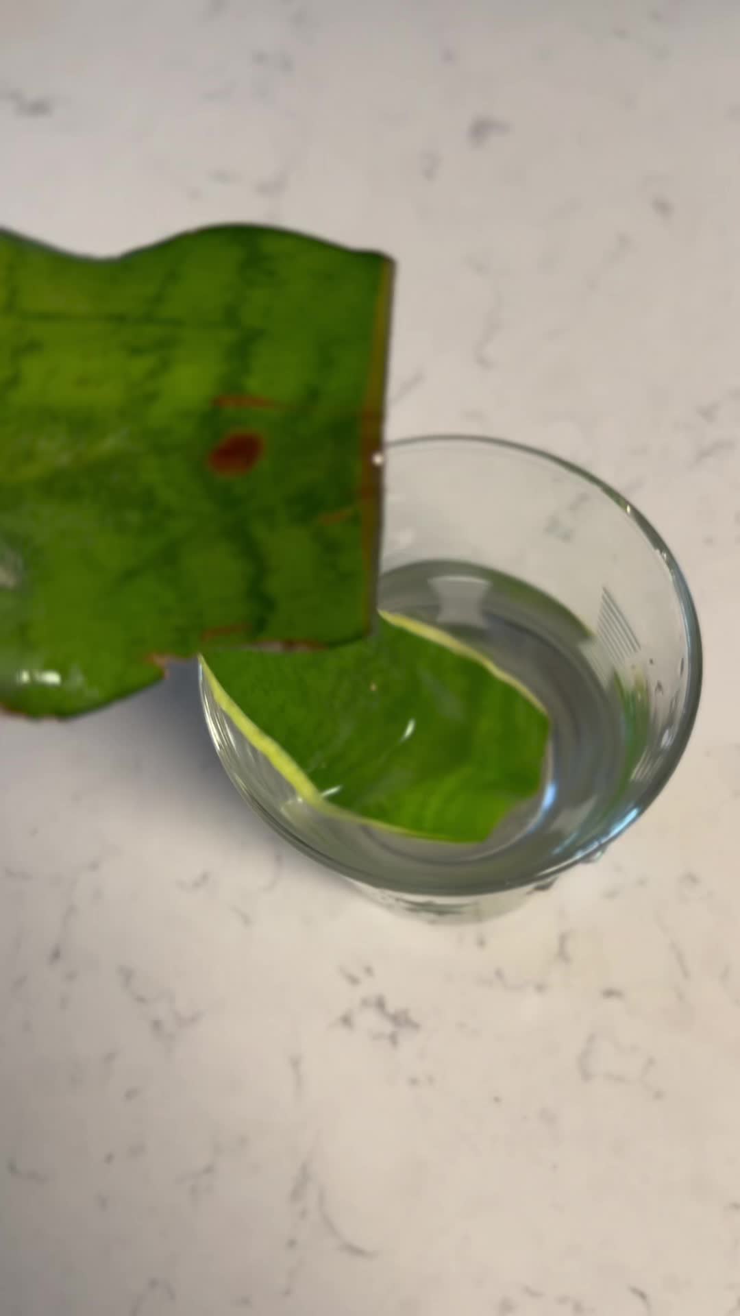 @Tiny Plants