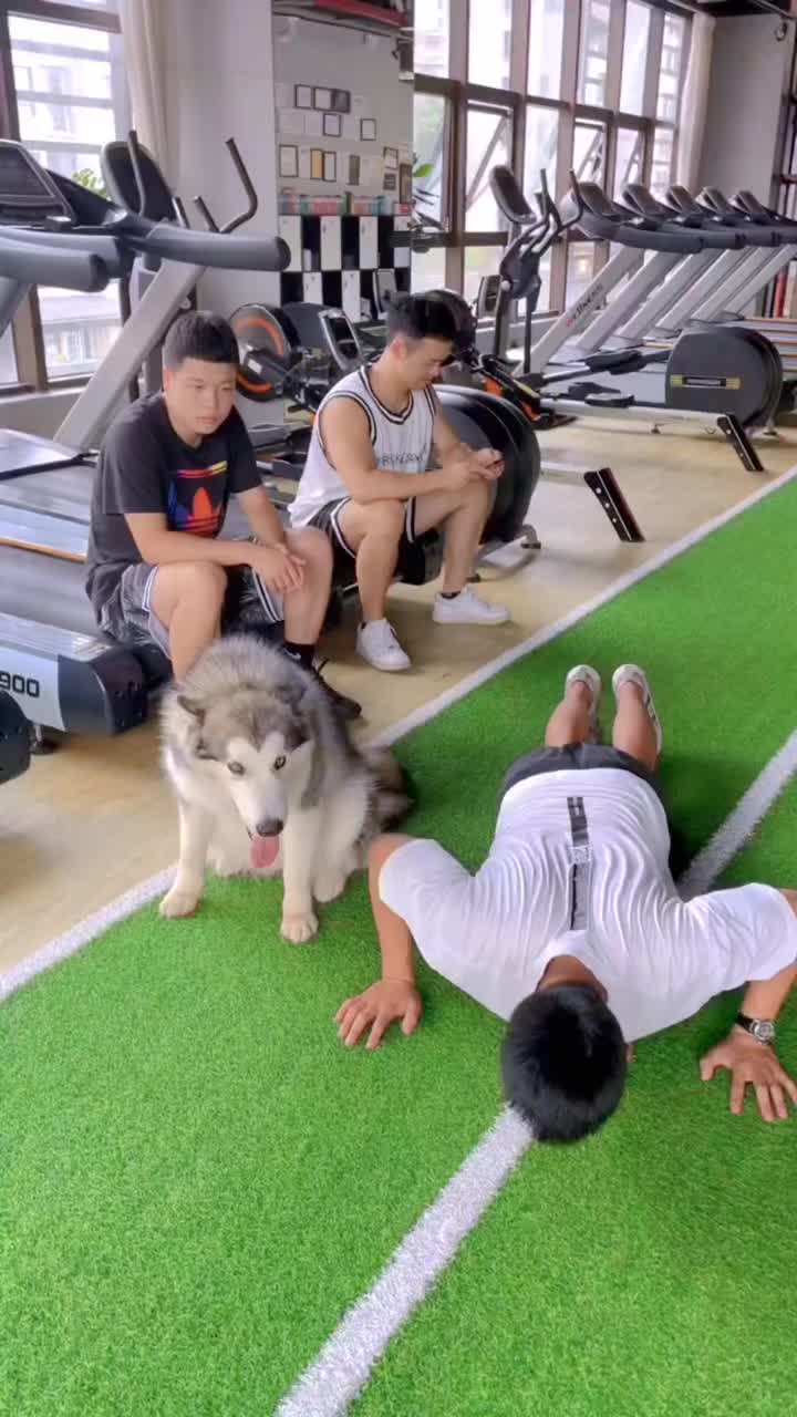 @Rufeng518