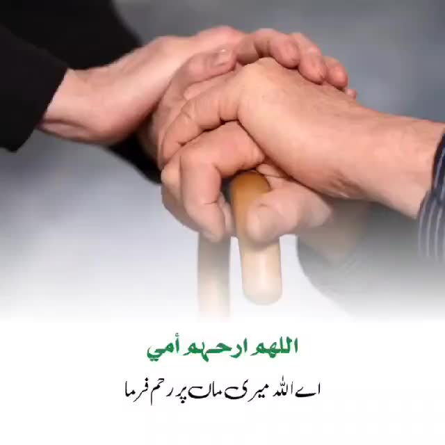 @چوہدری روشان🚩