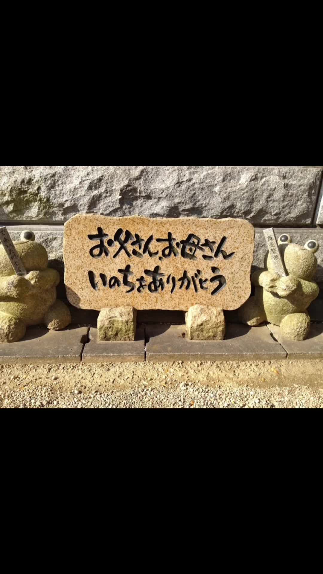 @置かれた場所で咲きなさい