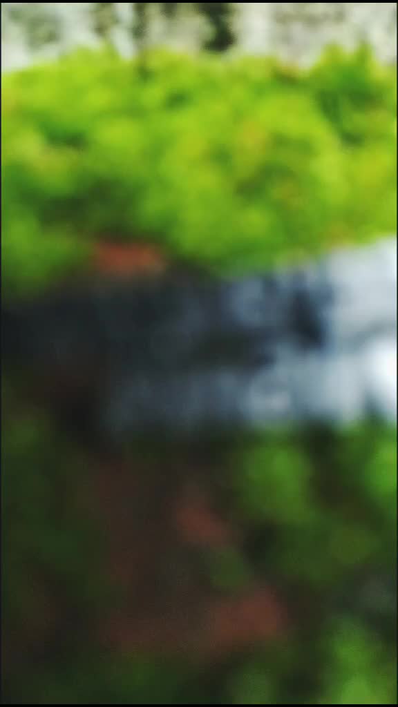 @_R_a_i_h_u_🌸