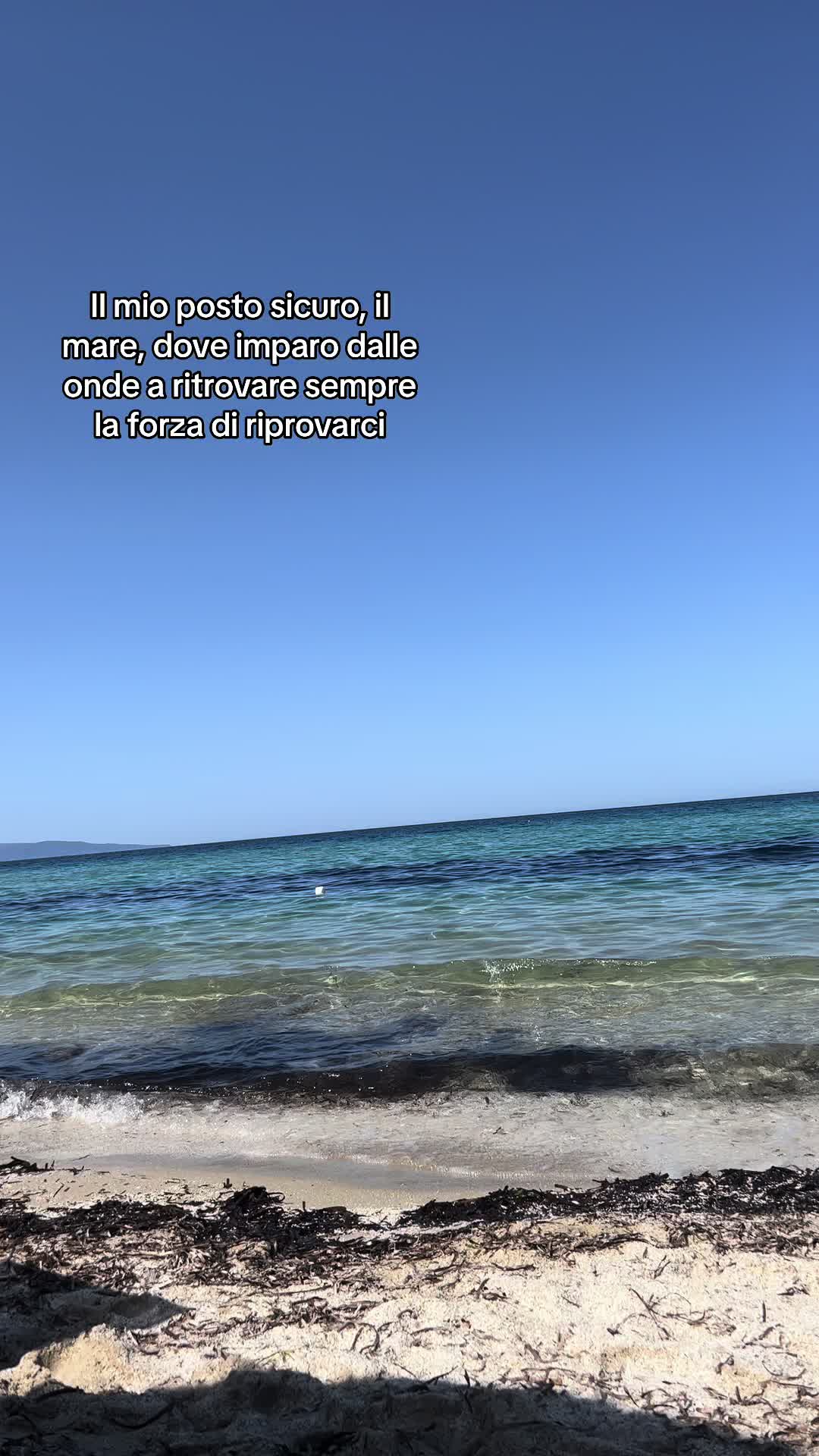 @laziafranca