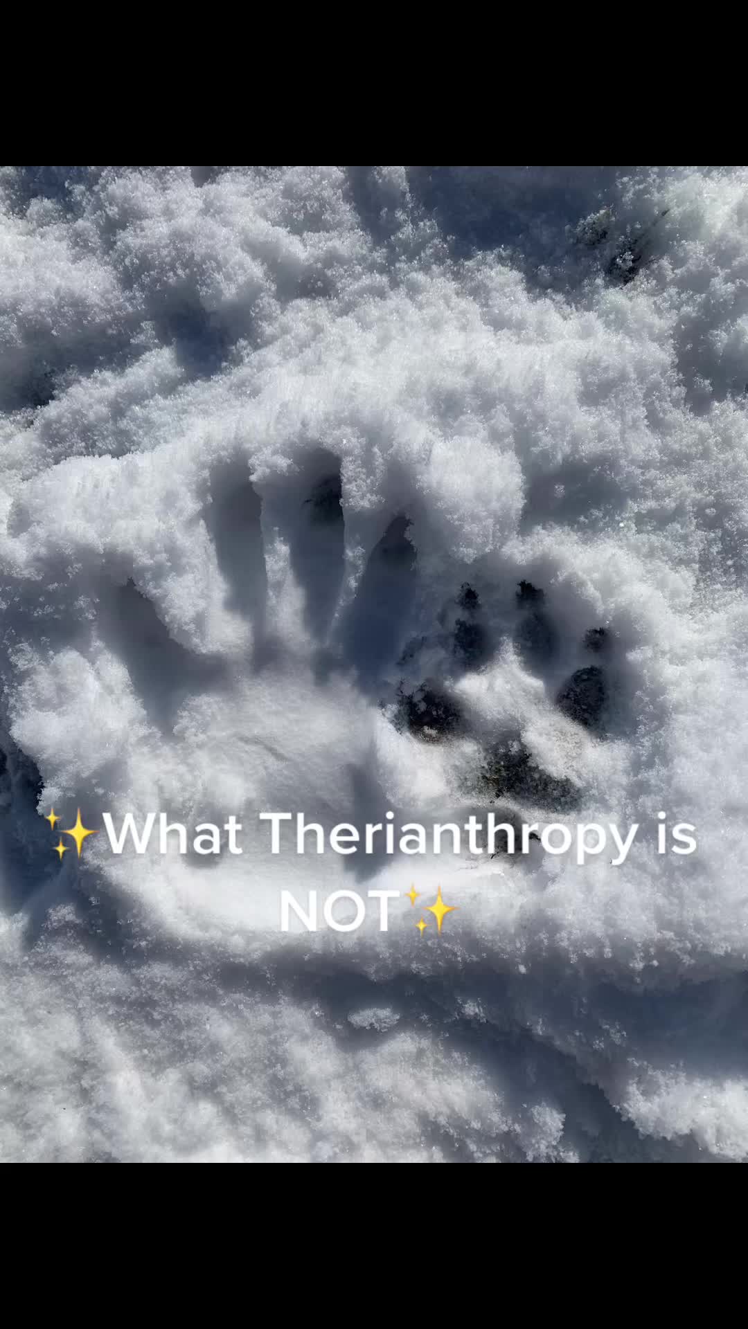 @Snowwystripes