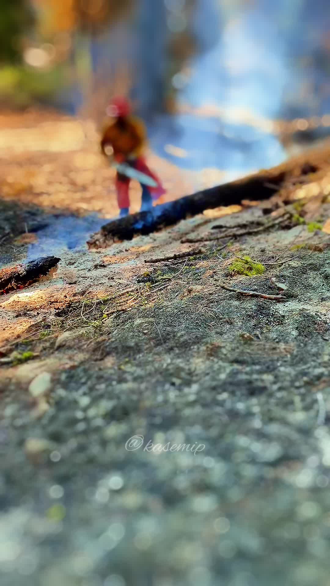 @Wildlandguy