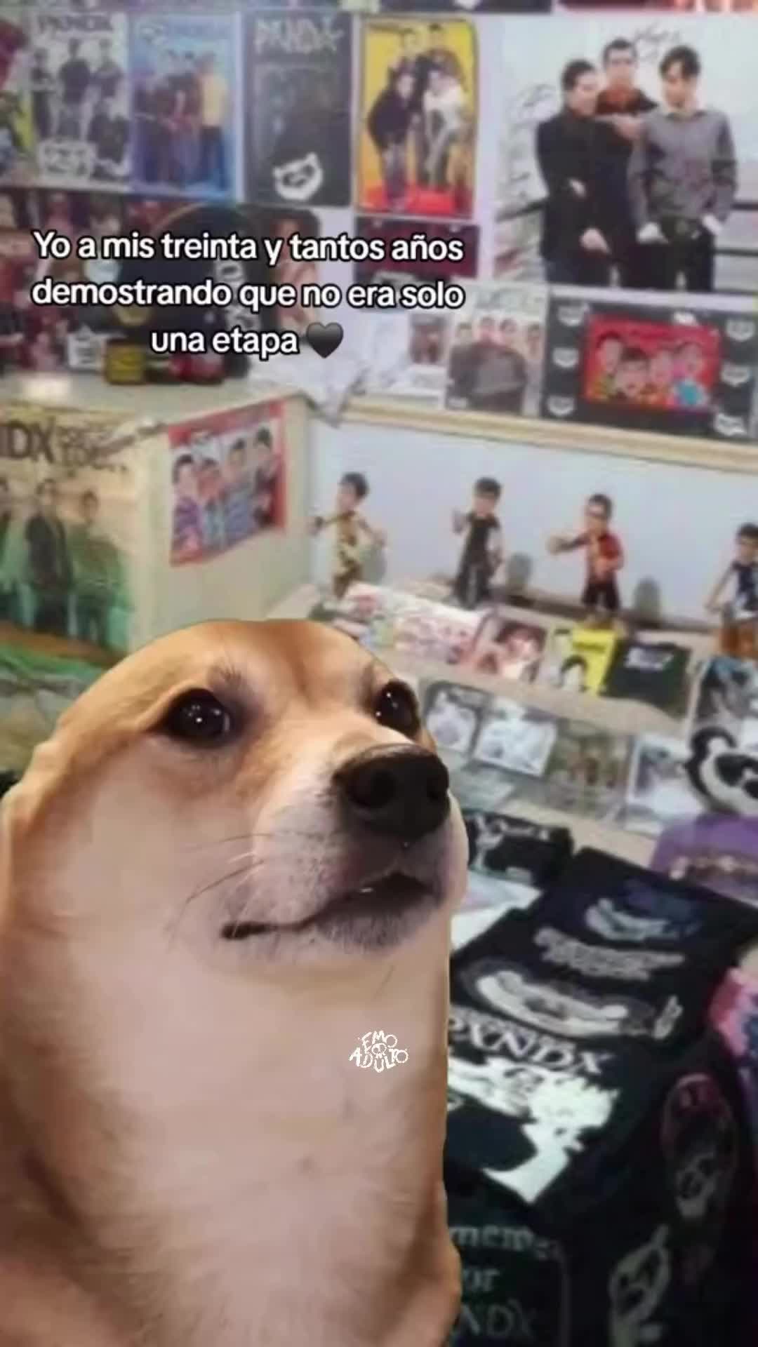 @EscuchandoPXNDX