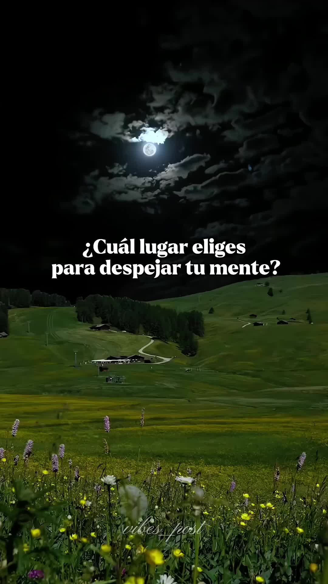 @vibes_post