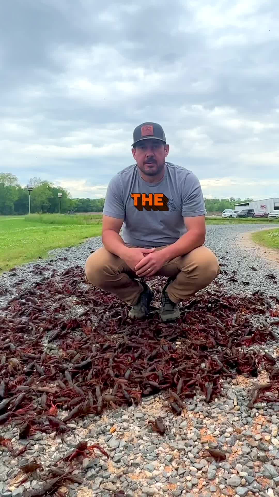 @louisianacrawfishco