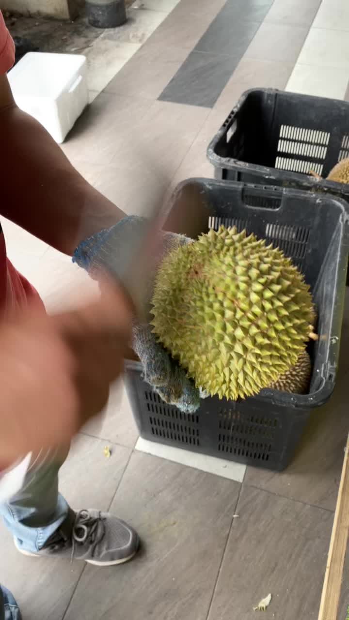 @Durian King Kaki