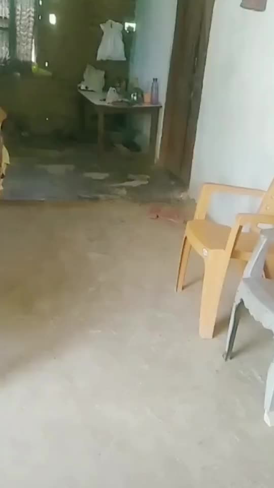 @Jaya Soni