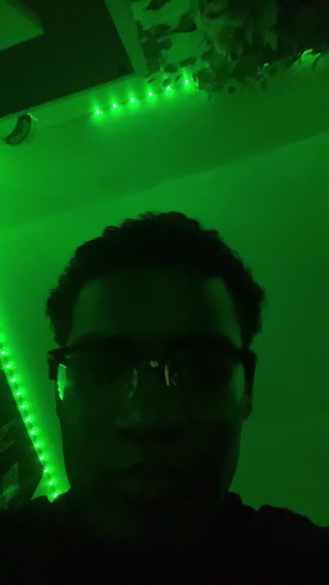 @Gato